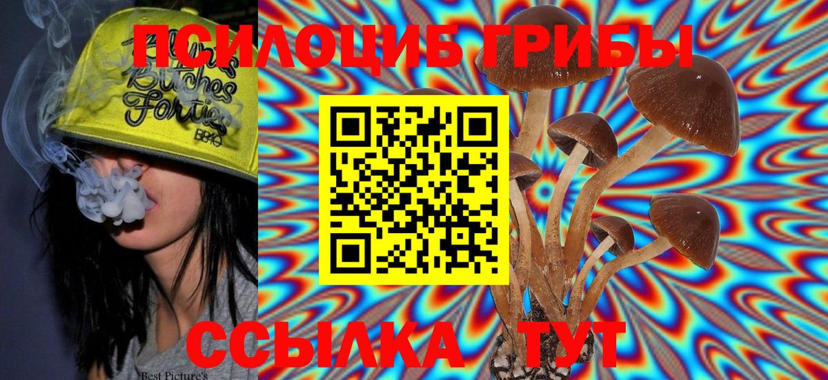 Галлюциногенные грибы GOLDEN TEACHER  Галлюциногенные грибы мицелий  как найти наркотики  Вход с VPN  Киселёвск 