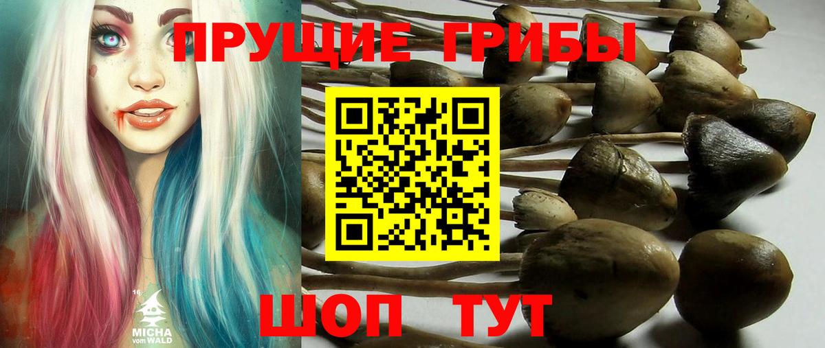 Галлюциногенные грибы прущие грибы Киселёвск